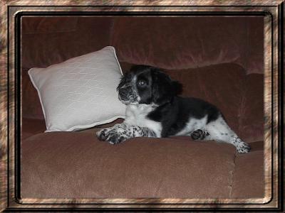 Baillee Bonitta 4 months