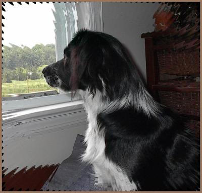 Baillee watchin'