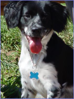 BB at the park