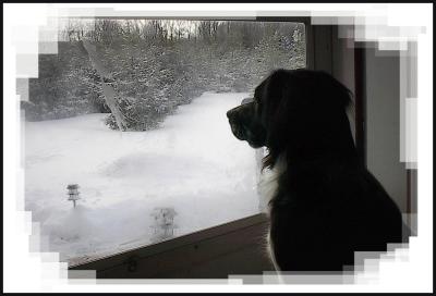 BB waitin 021904