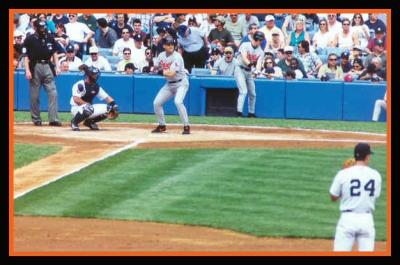 Cal at bat