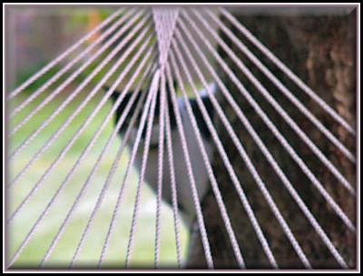 Mulder behind a hammock