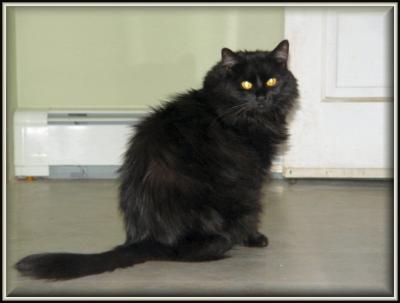 Salem striking a pose