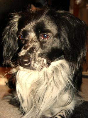 Baillee the beautiful