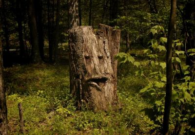 Laughing Tree Trunk