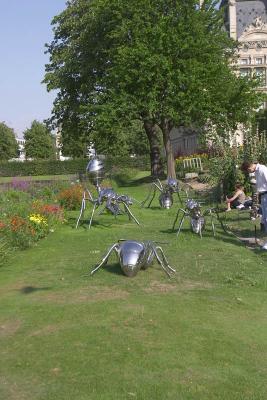 267_6776.jpg