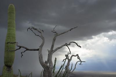 Storm over Tucson