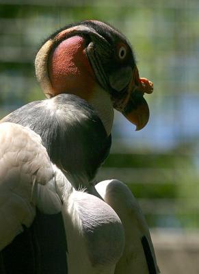 IMG_1097-3.jpg