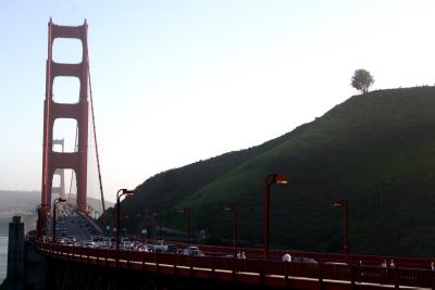 Bridge, yeah.. loved that tree there too