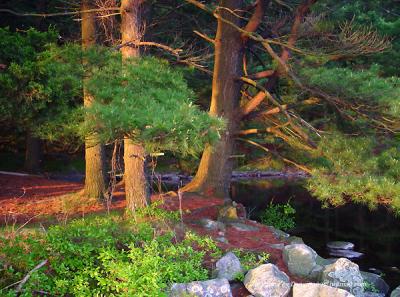 Saugatuck Reservoir