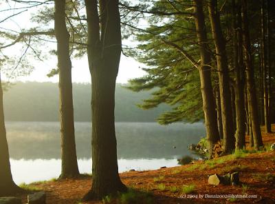 Saugatuck Reservoir