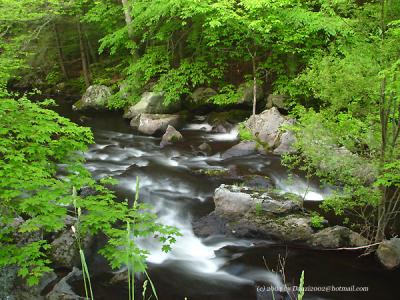 Devils Glen