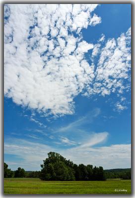 u45/jarrell/medium/29593868.skyscape.jpg