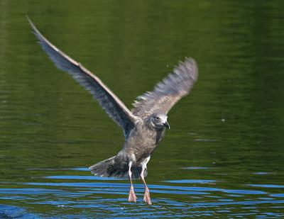 CRW_5767.jpg