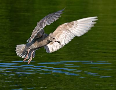 CRW_5768.jpg