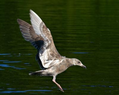 CRW_5769.jpg