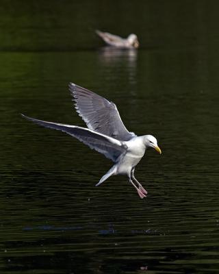 CRW_5780.jpg