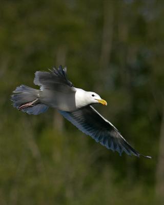 CRW_5788.jpg