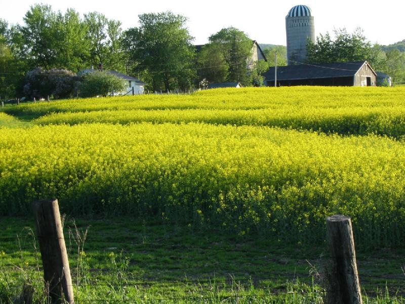 Orangeville, ON Canada
