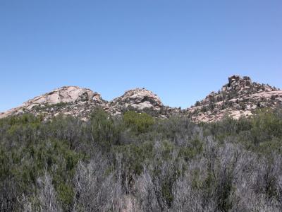 DSCN0705.JPG