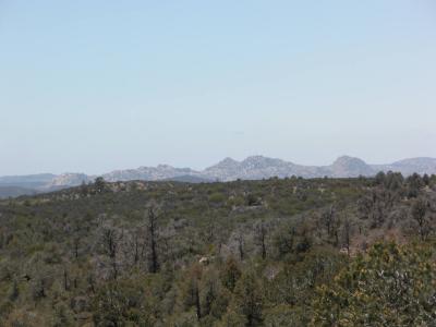 Distant view