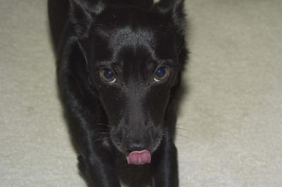 PabloTongue.jpg