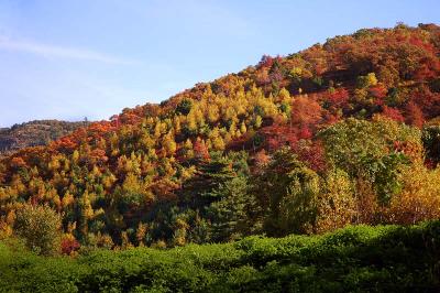 fall 04 a.jpg