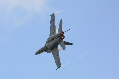 crw_2171c_std.jpg