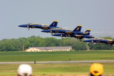 crw_2177c_std.jpg