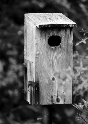 DSC_0716-small.jpg