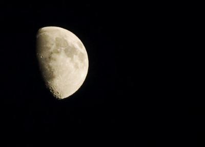 DSC_0835-small.jpg
