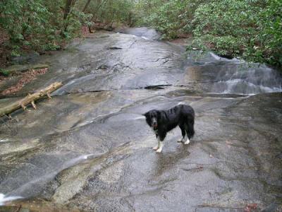 Mandrel - Table Rock Trail, South Carolina