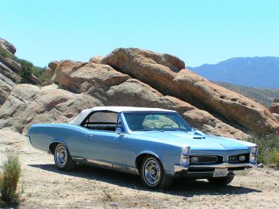GTO8