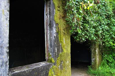 CRW_8426rz.jpg