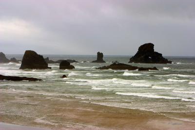 CRW_8431rz.jpg