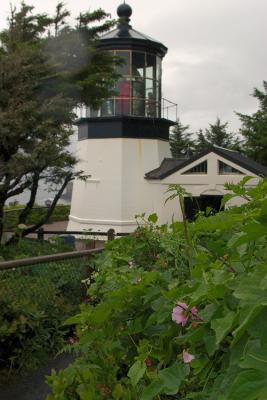 CRW_8471rz.jpg