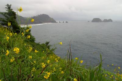 CRW_8475rz.jpg