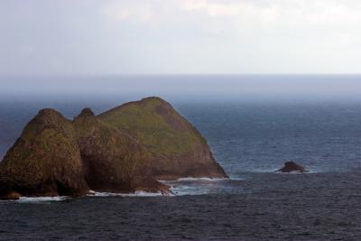 CRW_8493rz.jpg
