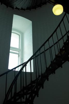 CRW_8785rz.jpg