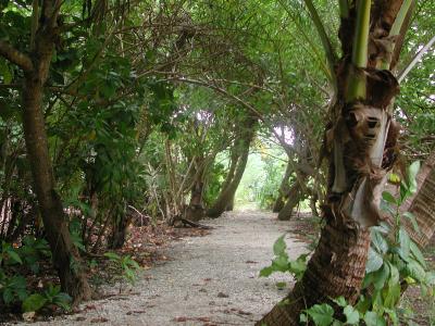 the  path to the lee shore of Motu Tiapaa