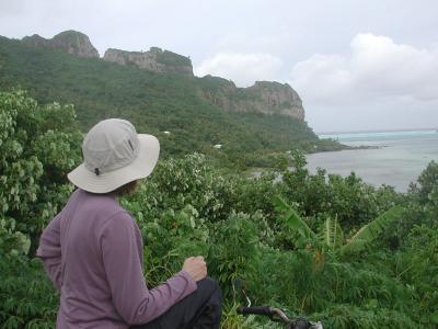 view of Maupiti's south coast