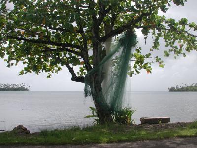 fishing nets, hung on a tree to dry, Raiatea