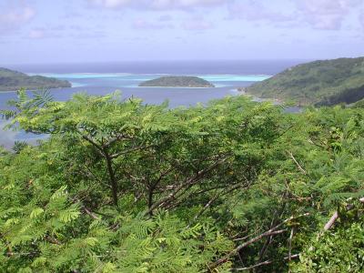 view to SSW from Eden Park panoramic trail