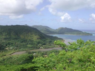 view to south from Eden Park panoramic trail