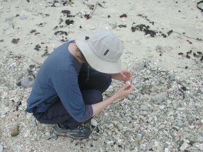 finding shells and coral fragments