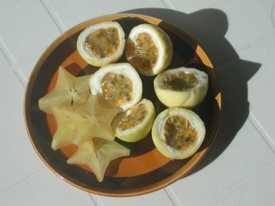 A plate of passion fruit and star fruit, just picked and offered by Muna