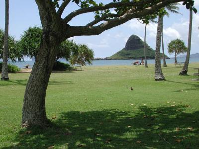 Exceptionally attractive Kualoa Beach Park, Oahu
