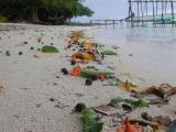 natural beach detritus (no man-made garbage!)