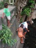 kids, playing with sacred eels, Faie
