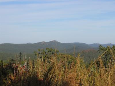 Ouachita mountains